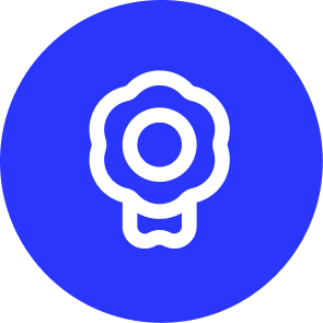 Ribbon icon